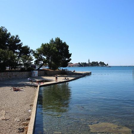 Gianna A4+2 Daire Novigrad Istria Dış mekan fotoğraf