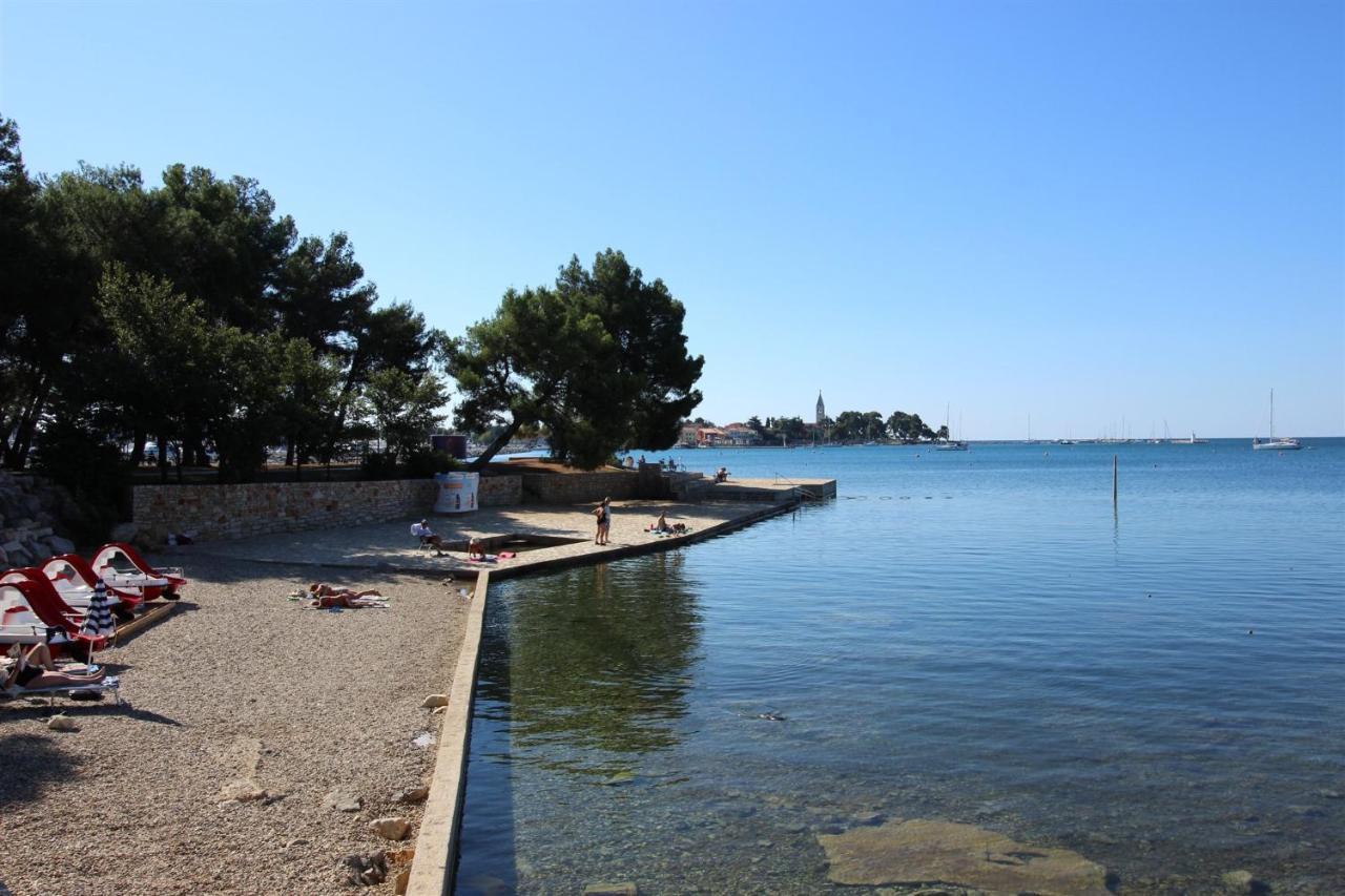 Gianna A4+2 Daire Novigrad Istria Dış mekan fotoğraf