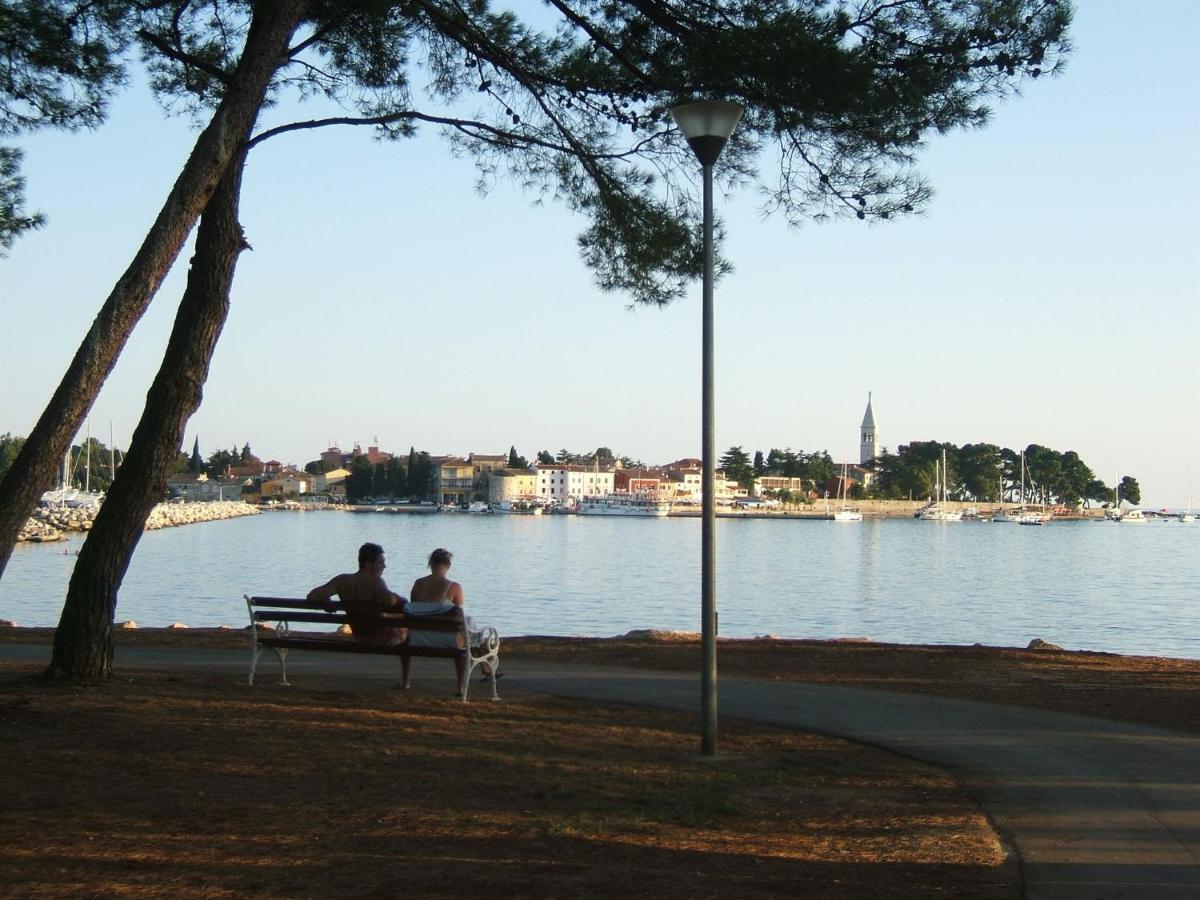 Gianna A4+2 Daire Novigrad Istria Dış mekan fotoğraf