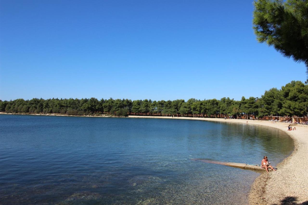 Gianna A4+2 Daire Novigrad Istria Dış mekan fotoğraf