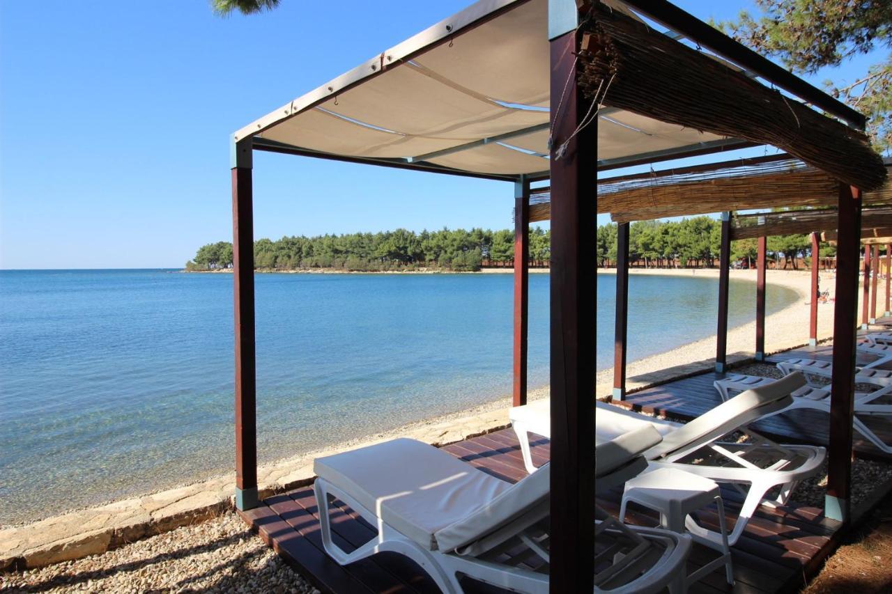 Gianna A4+2 Daire Novigrad Istria Dış mekan fotoğraf