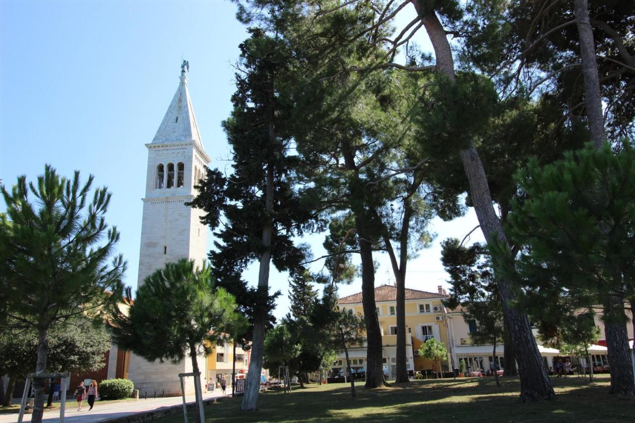 Gianna A4+2 Daire Novigrad Istria Dış mekan fotoğraf