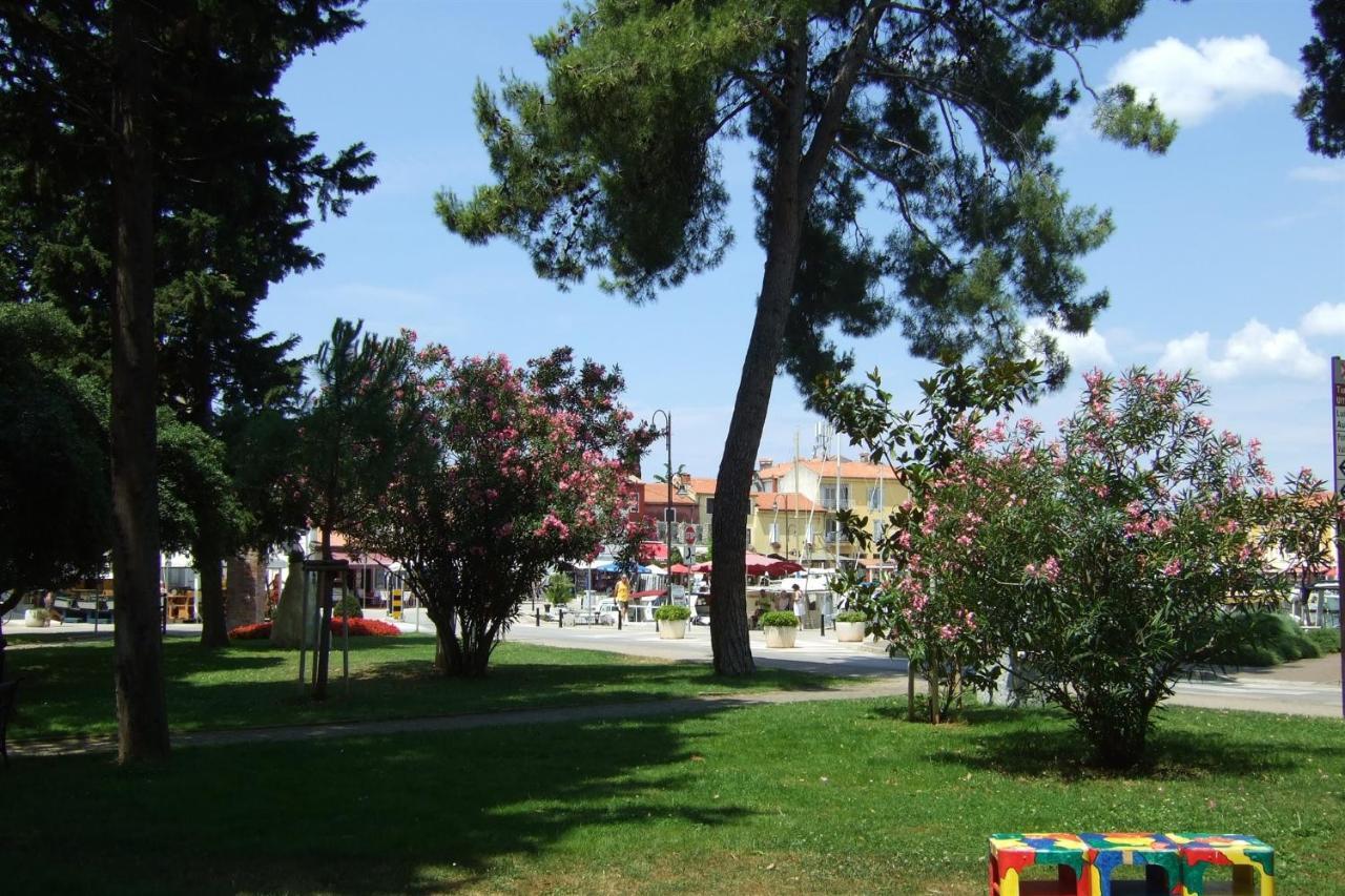 Gianna A4+2 Daire Novigrad Istria Dış mekan fotoğraf